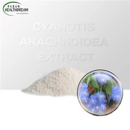 Cyanotis arachnoidea extract