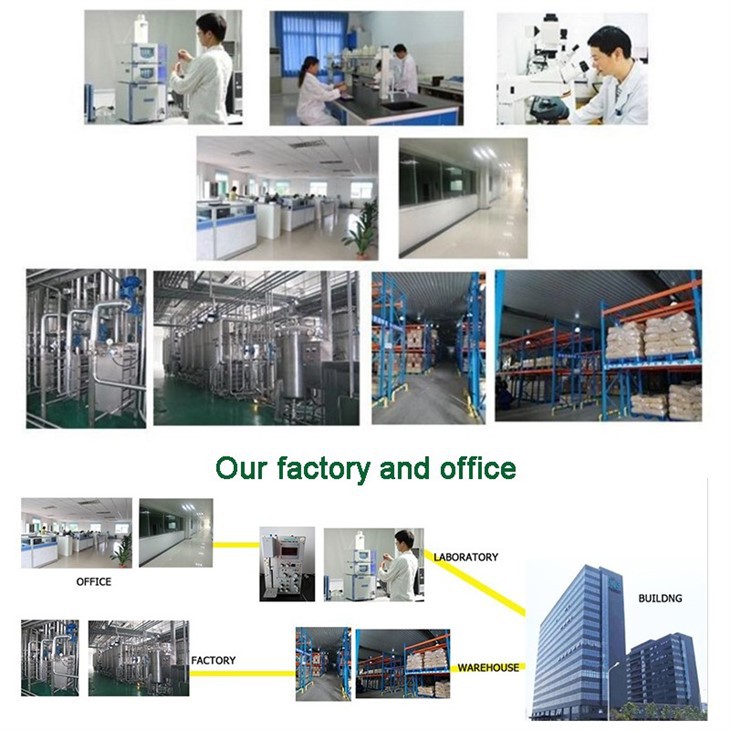 PDRN Powder (Polydeoxyribonucleotide) factory