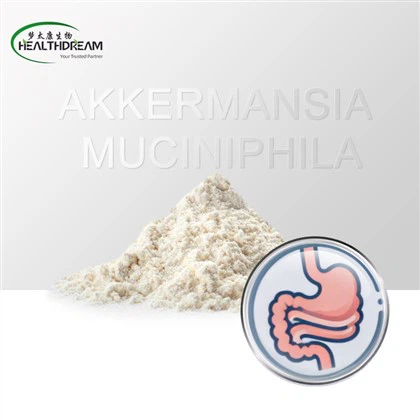 Akkermansia Muciniphila